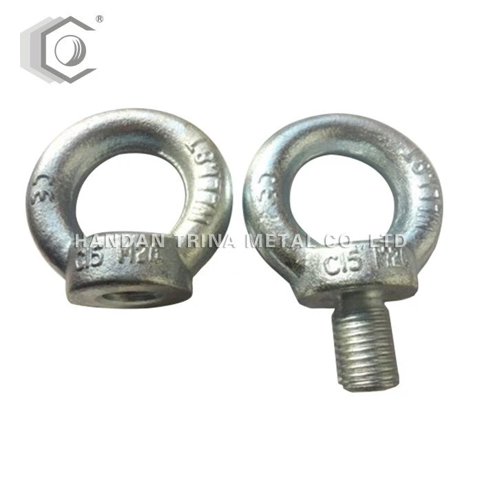 DIN580 Eye Bolt Hijsen ringslot
